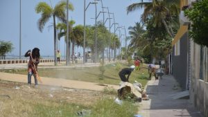 Read more about the article GGMF protagoniza campanha de limpeza na marginal do Benfica
